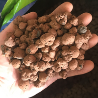 Atami Hydro Rokz Clay Pebble LECA Substrate (Holland)